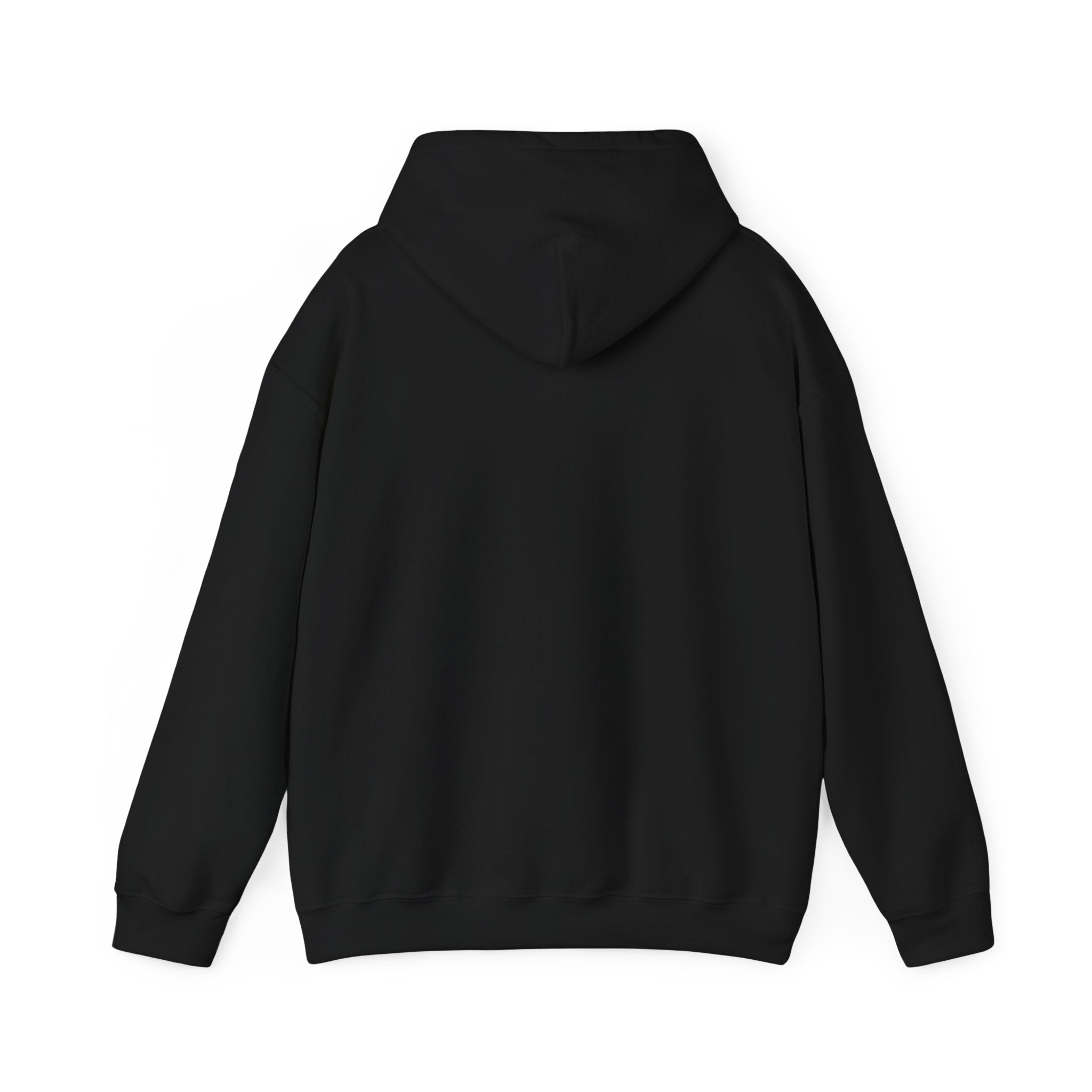 UFO Over Pyramids Cotton Hoodie