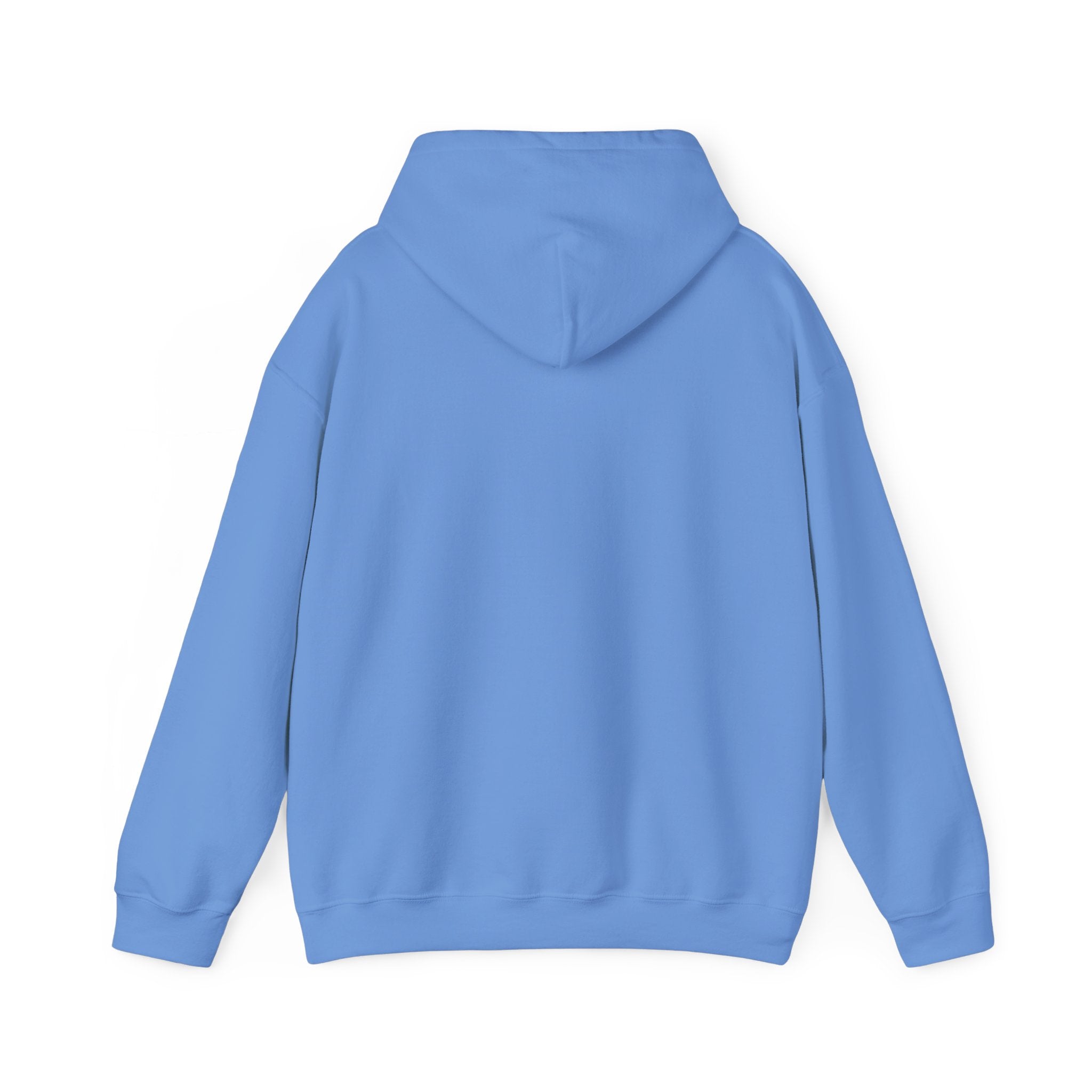 UFO Over Stonehenge Hoodie